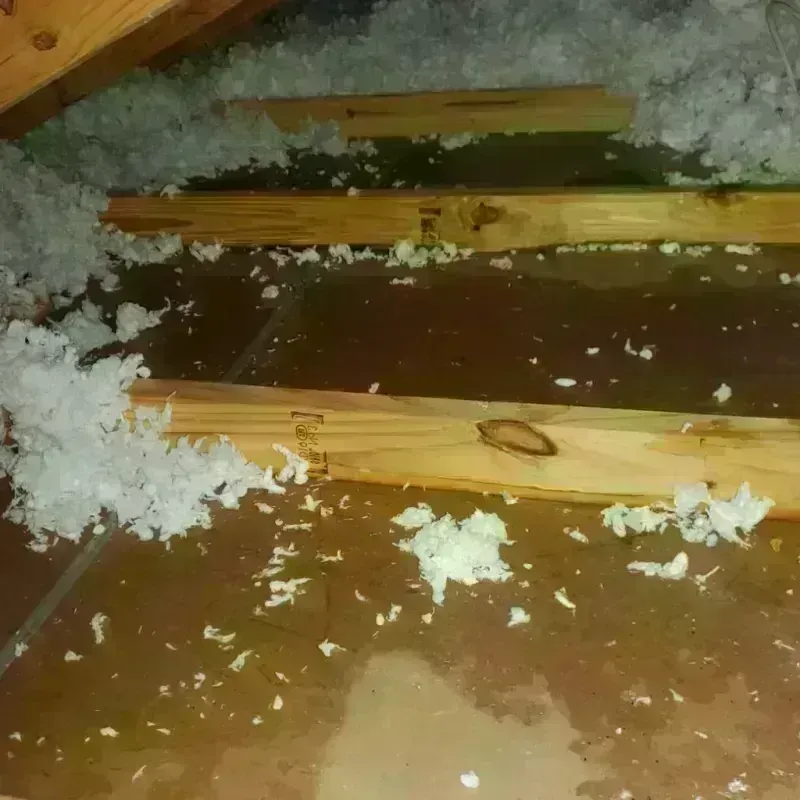 Attic Water Damage in Ava, MO