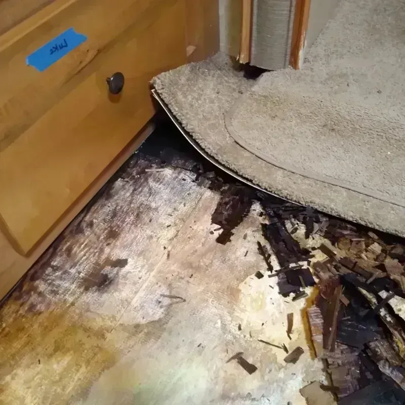 Wood Floor Water Damage in Ava, MO